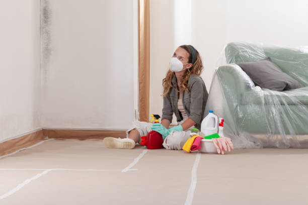 Reliable Mold Remediation contractor in Severn, MD by 24 Hour Mold Removal